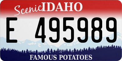 ID license plate E495989