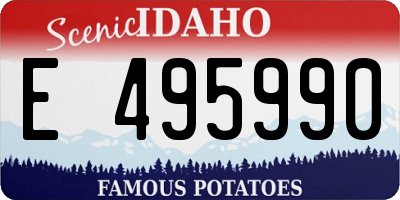 ID license plate E495990