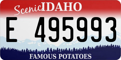 ID license plate E495993