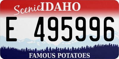 ID license plate E495996