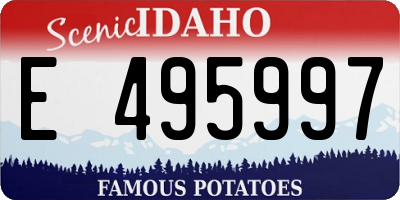 ID license plate E495997
