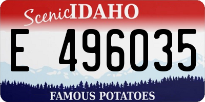 ID license plate E496035