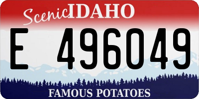 ID license plate E496049