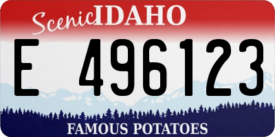 ID license plate E496123