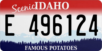 ID license plate E496124