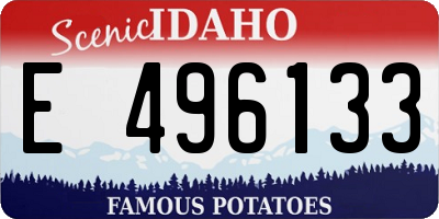 ID license plate E496133