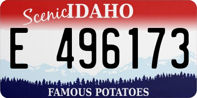 ID license plate E496173
