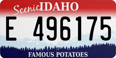 ID license plate E496175