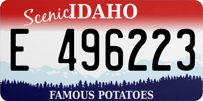 ID license plate E496223