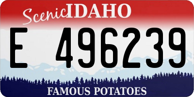 ID license plate E496239