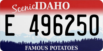 ID license plate E496250