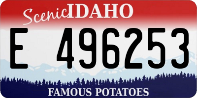 ID license plate E496253