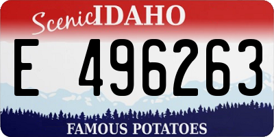 ID license plate E496263