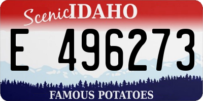 ID license plate E496273