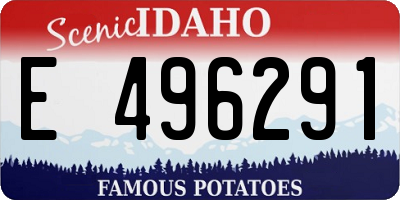 ID license plate E496291