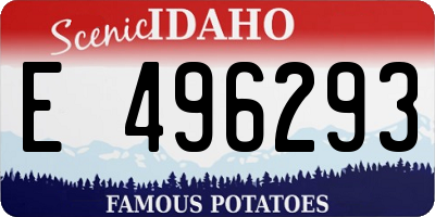 ID license plate E496293