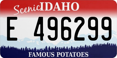 ID license plate E496299