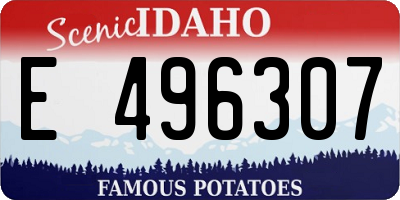 ID license plate E496307