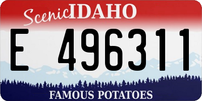 ID license plate E496311