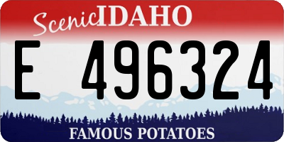 ID license plate E496324