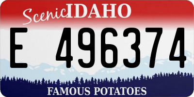 ID license plate E496374