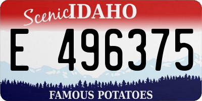 ID license plate E496375