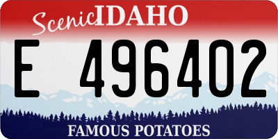 ID license plate E496402