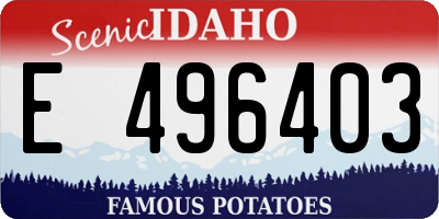 ID license plate E496403