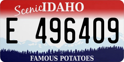 ID license plate E496409