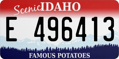 ID license plate E496413