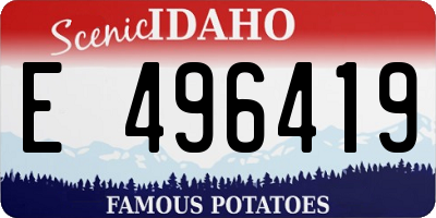 ID license plate E496419