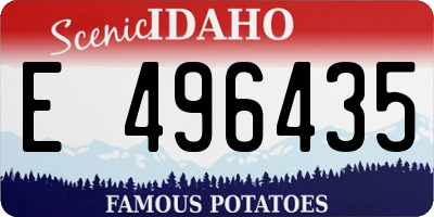 ID license plate E496435