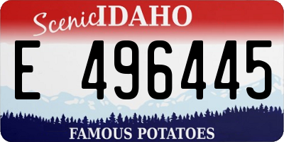 ID license plate E496445