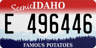 ID license plate E496446