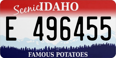 ID license plate E496455