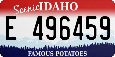 ID license plate E496459