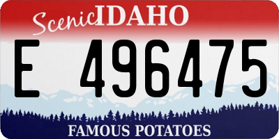 ID license plate E496475