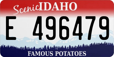 ID license plate E496479