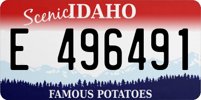 ID license plate E496491