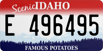 ID license plate E496495