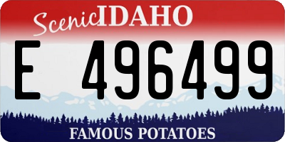 ID license plate E496499