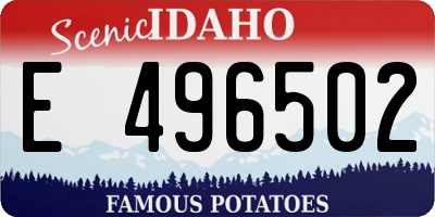 ID license plate E496502
