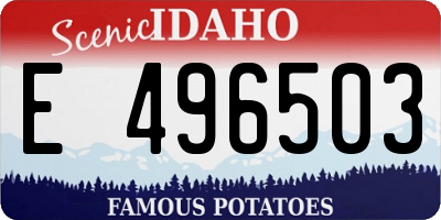 ID license plate E496503