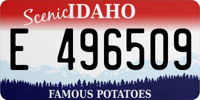 ID license plate E496509