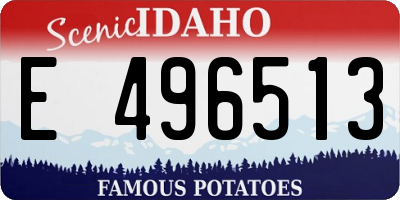 ID license plate E496513