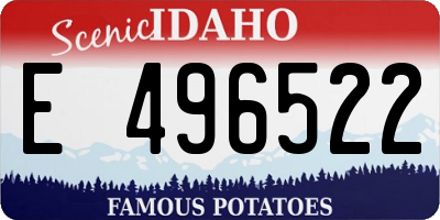 ID license plate E496522