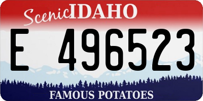 ID license plate E496523