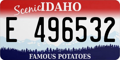 ID license plate E496532