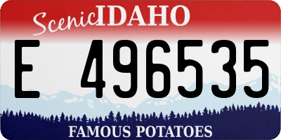ID license plate E496535