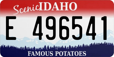 ID license plate E496541
